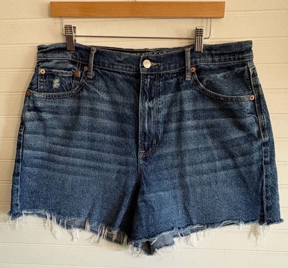 American Eagle High-Rise Raw Hem Denim Jean Shorts